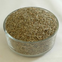 Horsetail-shavegrass Cut